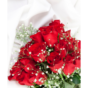 2 Dozen Red Roses