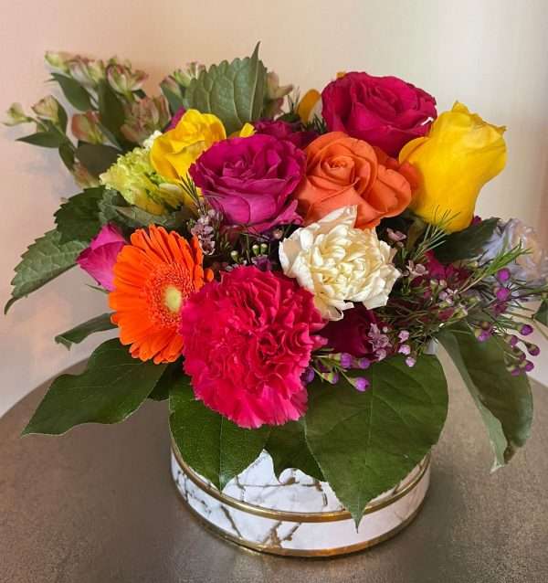 Splash of color